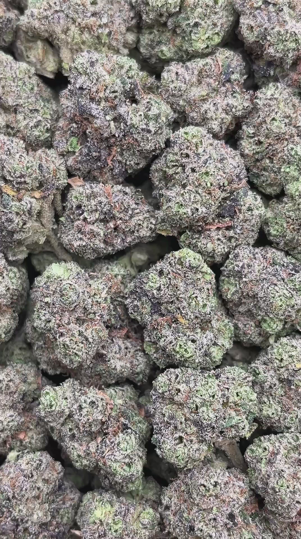 Chem Chillz Mediums - PK620