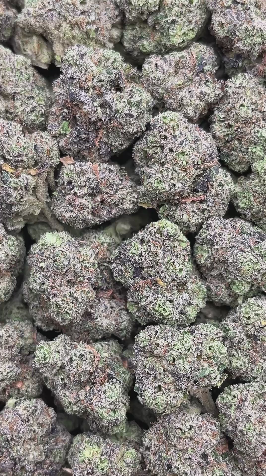 Chem Chillz Mediums - PK620