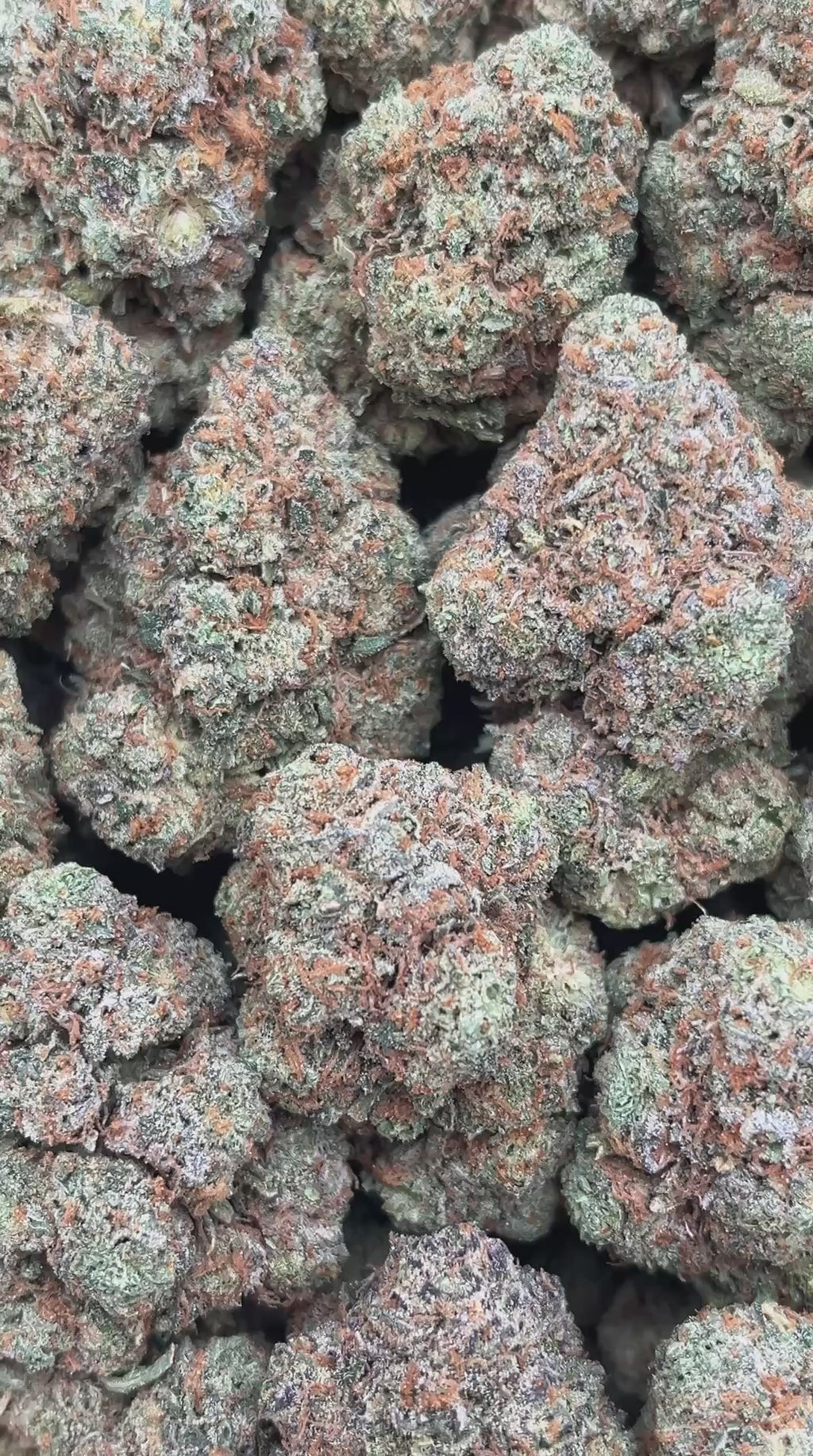 Secret Weapon - PK563