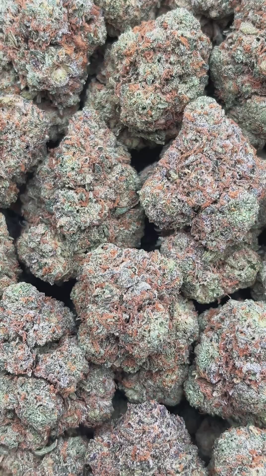 Secret Weapon - PK563