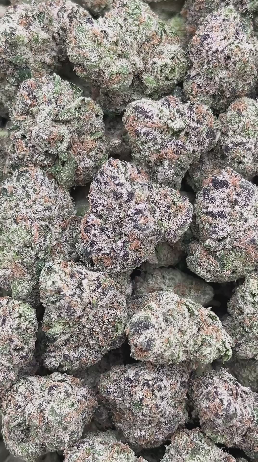 Obama Runtz Mediums - PK542 (Licensed)