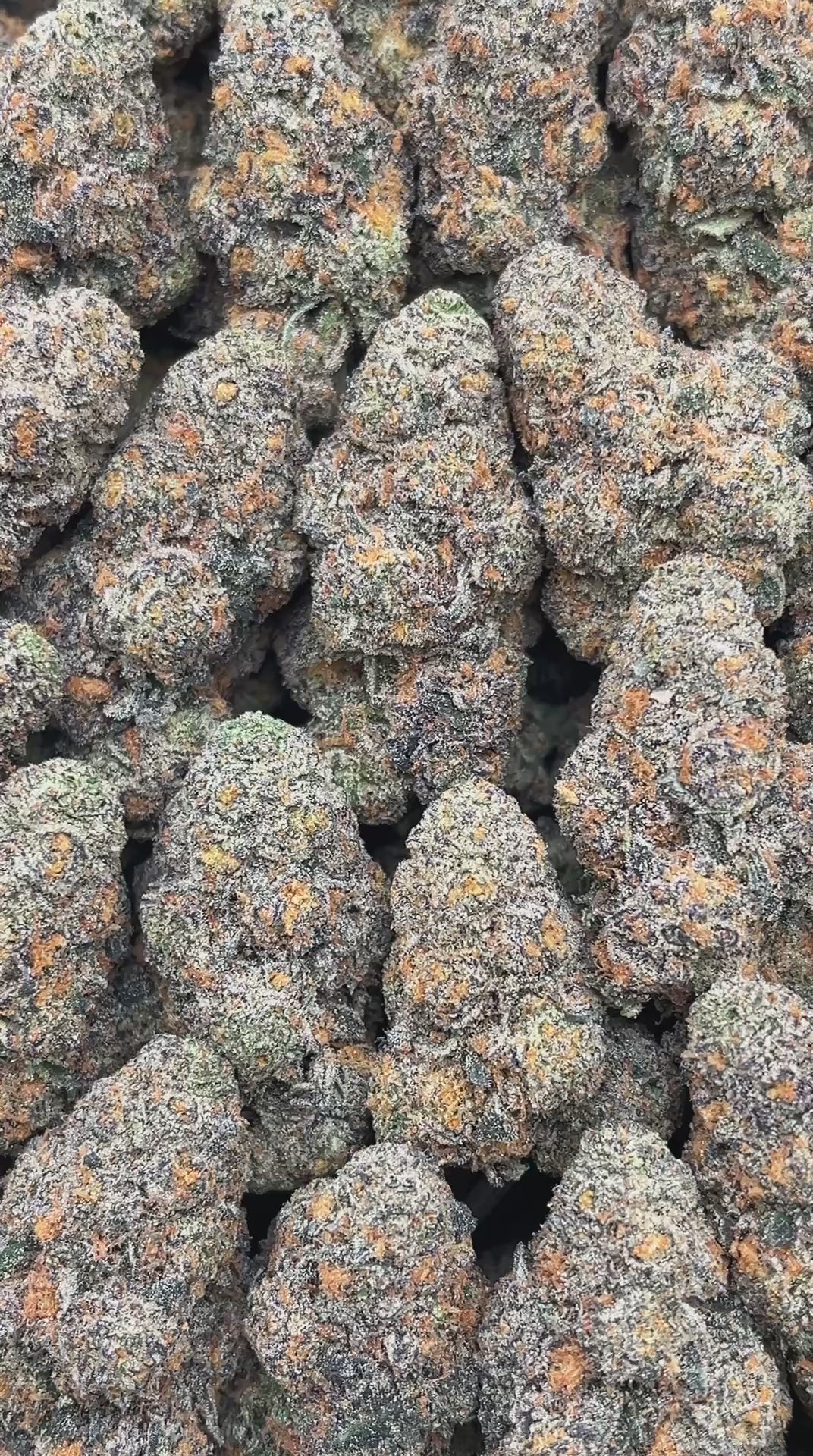 Permanent Marker - PK549