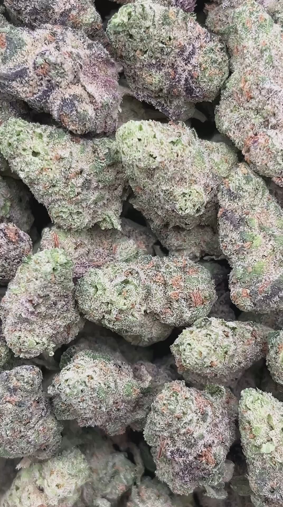 Peanut Butter Shake SM - PK585 (Licensed)