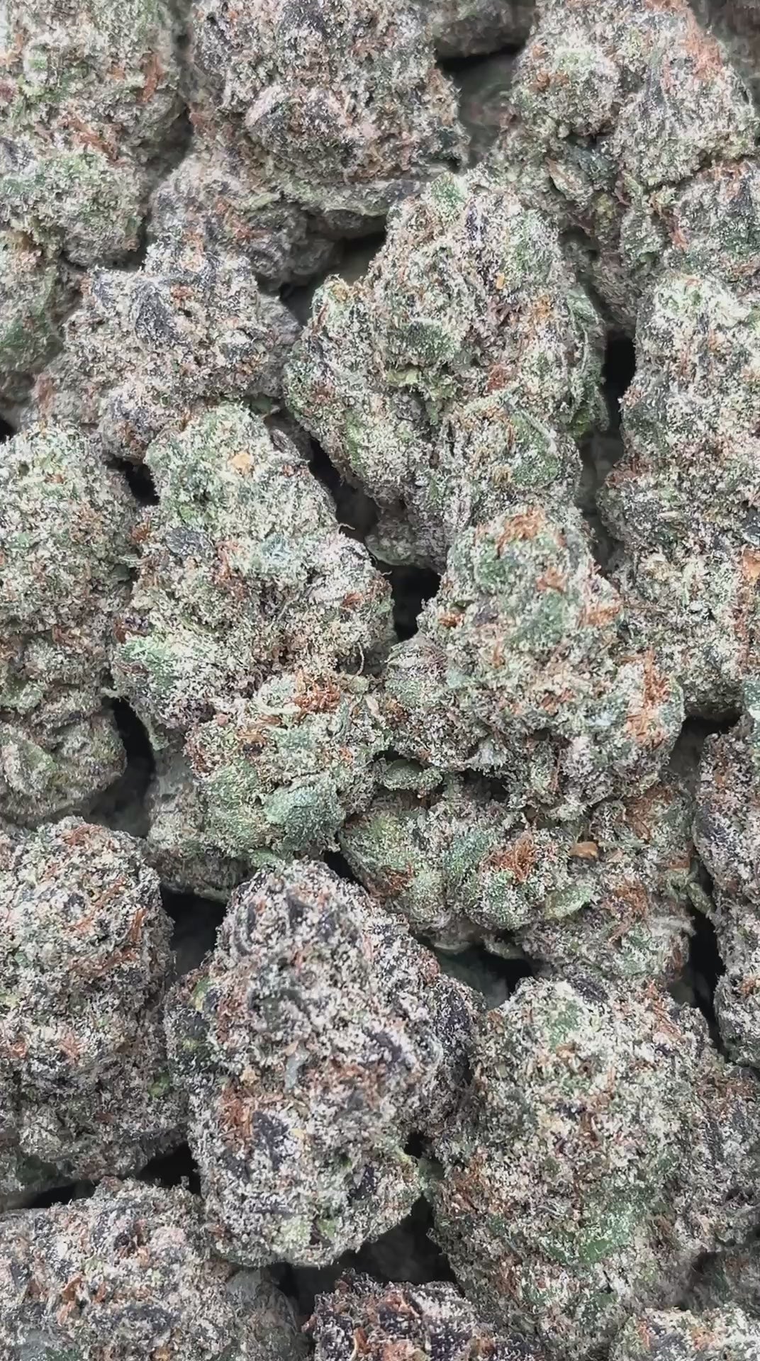 Ace Candy - PK573 (Licensed)