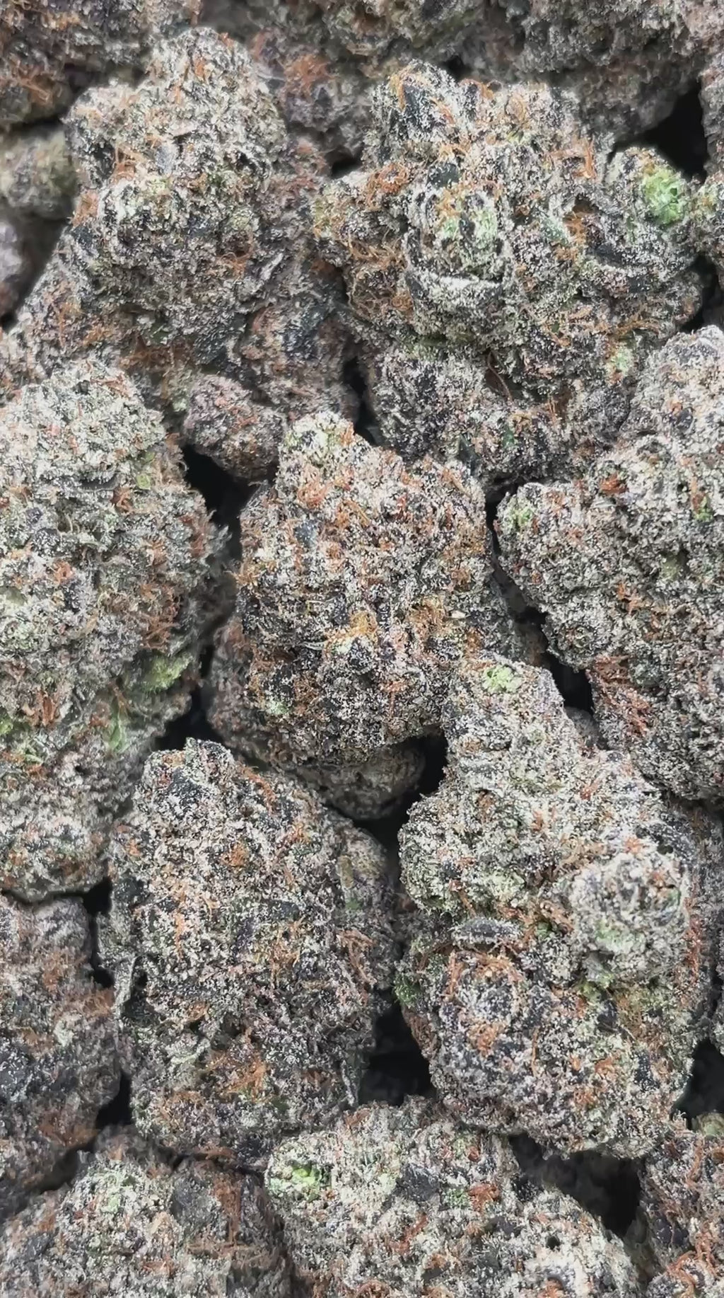 Cotton Candy Runtz - PK598