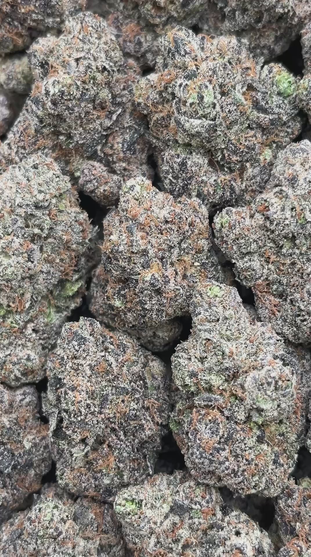 Cotton Candy Runtz - PK598