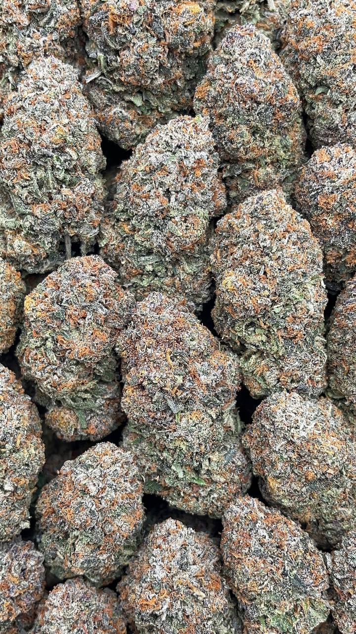 Lemon Cherry Gelato - PK617